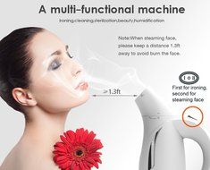 Tepoinn Home and Travel Garment Steamer, Global Voltage, 400W Lightweight Portable Handheld Mini, Ultra Fast Heat-up... N16