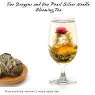 Elitea&reg; 12 Pieces Premium Grade Jasmine Blossom Blooming Flowering Flower Tea Balls (Assorted 6 Blooming Styles) N8