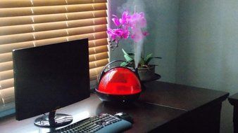 Canary Products HZ117 Humidifier, Red N5