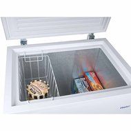 5.0 Cubic Feet Easy-Access Adjustable Temperature Control Freezer, White N2