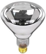 Feit Electric 250R40/1 250-Watt Incandescent R40 Bulb by Feit Electric
