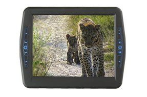 Inelmatic Industrial Grade Waterproof Sunlight Readable 8&quot; Touch Screen Monitor