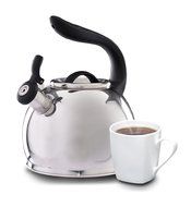 Mr Coffee Whistle Shine Stainless Steel Tea Kettle, 2.1 quart, Metallic Red N2