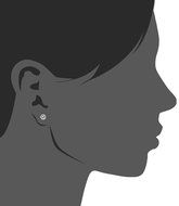 K&amp;Q Fashion Jewelry Women's Stainless Steel Round Clear Cubic Zirconia Stud Earring (6 Pairs) N3