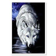 EverTrust(TM) New Hot 5d Diamond Painting Animals Wolf Three Dimensional Full Square Pastoral Design Resin Particles...