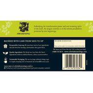 Celestial Seasonings Decaf Mint Green Tea, 20 Count (Pack of 6) N83