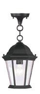 Livex Lighting 7559-04 Hamilton 1 Light Outdoor Chain Hang, Black by Livex Lighting