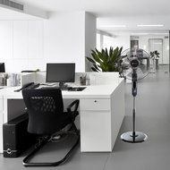 Avalon A-16STANDFAN 16" Standing Fan with Adjustable Height Digital Display Oscillating 6 Speed Stand Fan, Metal N6