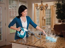 Hoover TwinTank Handheld Steam Cleaner, WH20100 N6