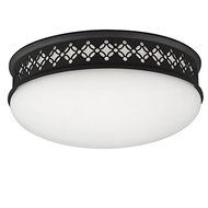 Feiss FM421ORB 2-Light Flush Mount Light Fixture by Feiss