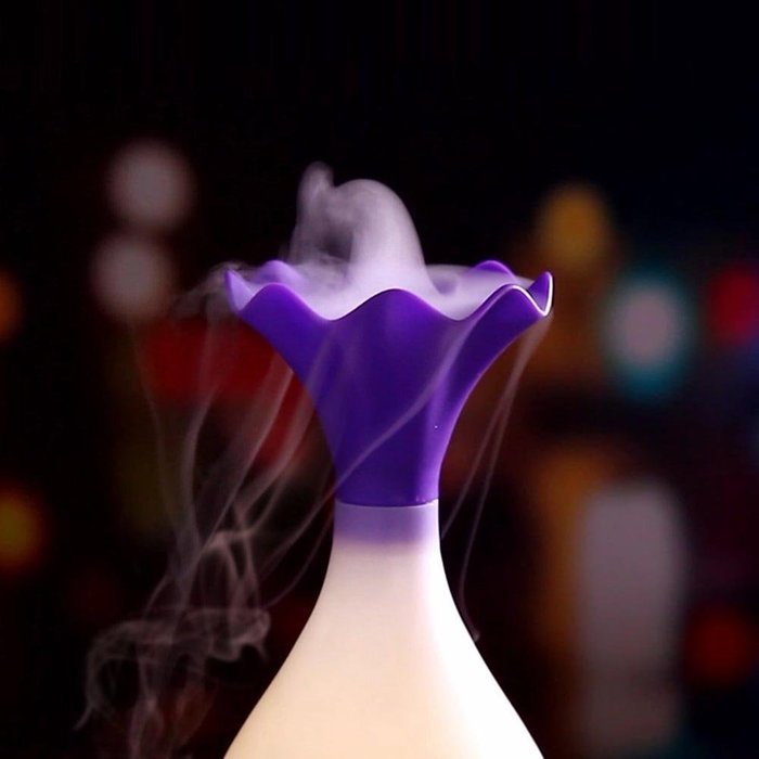 CNUALV Aromatherapy Essential Oil Diffuser Aroma Humidifier Air Purifier Cool Misting Spraying Bottle Humidifier... N24
