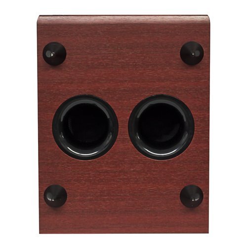 Fluance DB-150 10 Inch 150 Watt Low Frequency Powered Subwoofer-Dark Walnut N2