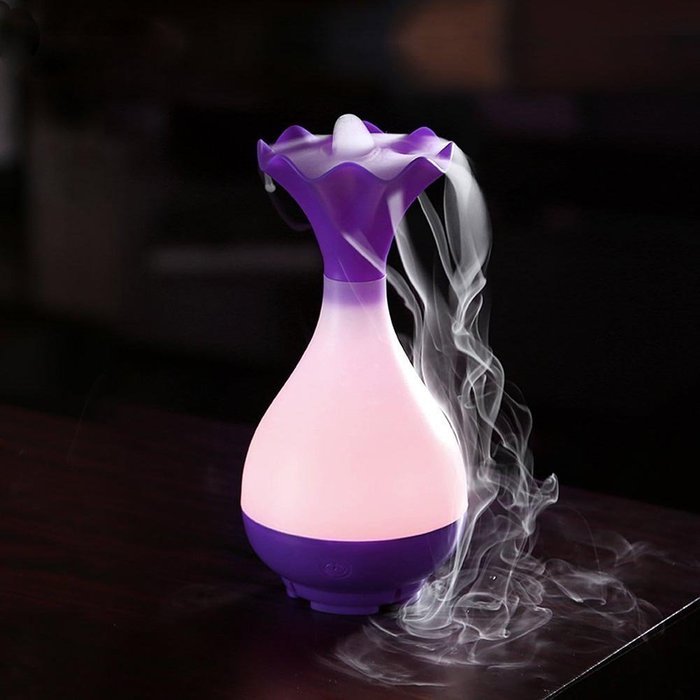 CNUALV Aromatherapy Essential Oil Diffuser Aroma Humidifier Air Purifier Cool Misting Spraying Bottle Humidifier... N31