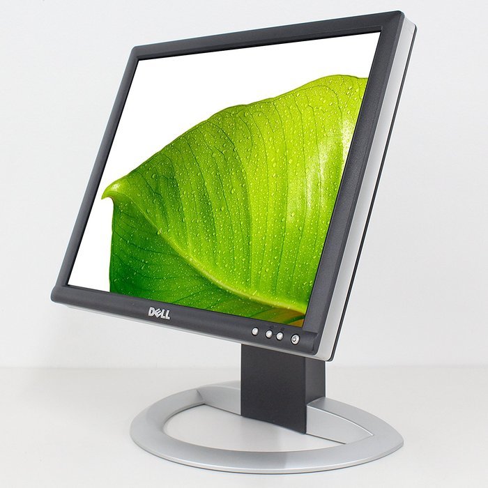 17-Inch Dell 1704FPVs DVI LCD Monitor w/USB Hub (Black & Silver)