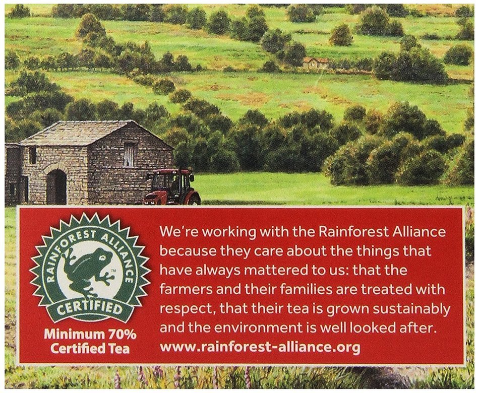 Taylors of Harrogate, Yorkshire Gold, 160-Count, Black Tea Bags N24