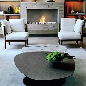 EcoSmart Fire - BK5 N3