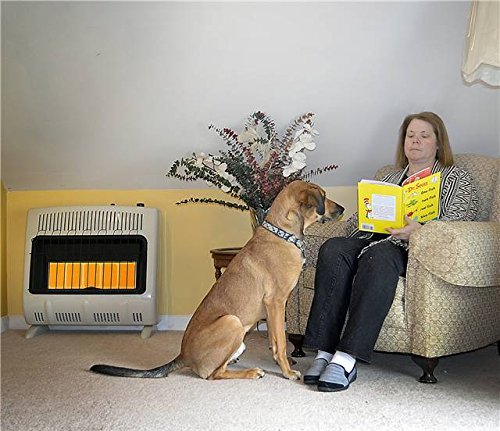 Mr. Heater, Corporation Mr. Heater, 30,000 BTU Vent Free Radiant Propane Heater, MHVFRD30LPT N3