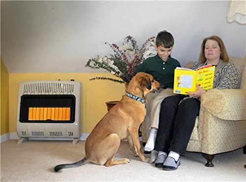 Mr. Heater, Corporation Mr. Heater, 30,000 BTU Vent Free Radiant Propane Heater, MHVFRD30LPT N4