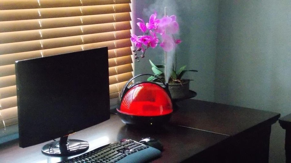 Canary Products HZ117 Humidifier, Red N5