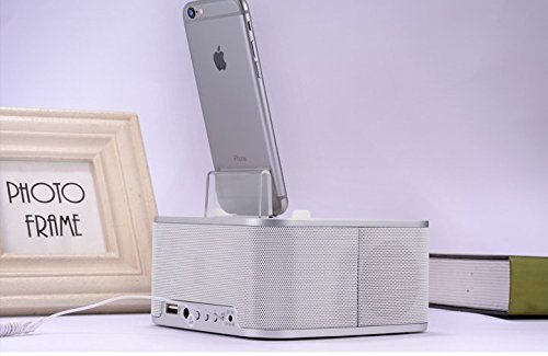 IRISTIME Wireless Bluetooth Speaker FM Radio Alarm Clock Loud Speaker with All iPod /iPhone Charging Dock Station... N2