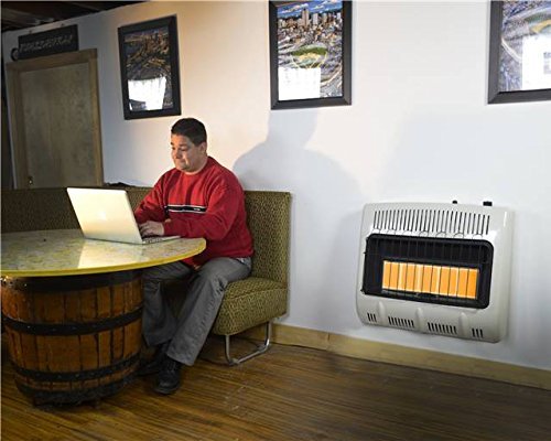 Mr. Heater, Corporation Mr. Heater, 30,000 BTU Vent Free Radiant Propane Heater, MHVFRD30LPT N5
