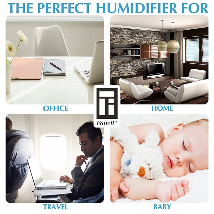 Fancii Cool Mist Personal Humidifier - Portable Mini Travel Tabletop Humidifier - USB & Battery Operated, Water... N3