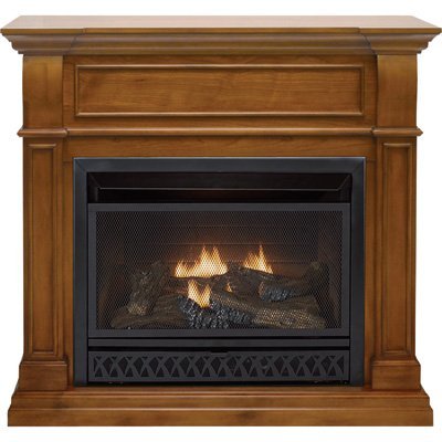 ProCom Dual Fuel Vent-Free Fireplace - 26,000 BTU, Apple Spice Finish, Model# FBD28T-J-AS