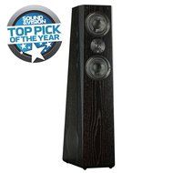SVS Ultra Tower Flagship 3-Way Loudspeaker (Piano Gloss Single) N2