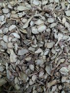 FINFAST Dried Sliced Finger Root 250 grams (8.8 oz) N3