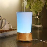 ACCENTORY Home Air Humidifier Aromatherapy Essential Oil Diffuser with 7 color changing models (150ml) N6