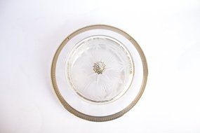 Antique Vitreous Dessert Dish