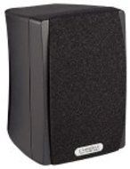 Cambridge SoundWorks Newton Series MC100 Main/Center/Surround Speaker (Slate) (Discontinued by Manufacturer)