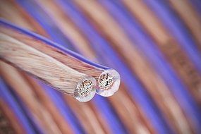 Aurum Cables 12 Gauge Dual Color Transparent PVC Speaker Zip Wire l Green and Regular Transparent I w/ ft markings... N2
