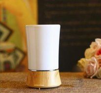 ACCENTORY Home Air Humidifier Aromatherapy Essential Oil Diffuser with 7 color changing models (150ml) N8