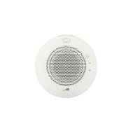 CyberDataSpeaker - Gray, White - Ceiling Mountable