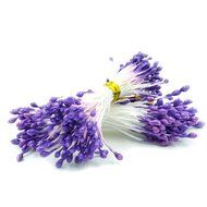 MuLuo Flower Double Tips Pearl Flower Stamen Floral Stamen Cake Decotaion