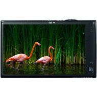 Canon PowerShot ELPH 320 HS 16.1 MP Wi-Fi Enabled CMOS Digital Camera with 5x Zoom 24mm Wide-Angle Lens with 1080p... N13