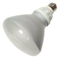 TCP 1R402335K CFL R40 - 120 Watt Equivalent (23W) Bright White (3500K) Flood Light Bulb by TCP