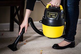 Stanley Wet/Dry Vacuum, 1 Gallon, 12-Volt DC N24