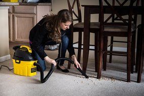 Stanley Wet/Dry Vacuum, 1 Gallon, 12-Volt DC N25