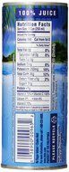 Dole Pineapple Juice, Not From Concentrate, 8.4 oz. 24 Count N2