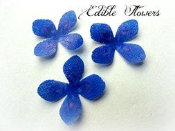 24 Assorted Rainbow Colors Decorative Wafer Paper Flowers&copy; Very Small, Mini 1.25&quot; Size Cake Toppers