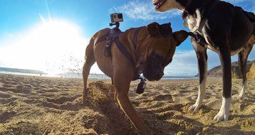 GoPro Hero4 Hero 4 12MP Full HD 4K 30fps 1080p 120fps Built-In Wi-Fi Waterproof Wearable Camera Black Adventure... N43
