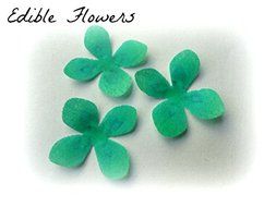 24 Assorted Rainbow Colors Decorative Wafer Paper Flowers&copy; Very Small, Mini 1.25&quot; Size Cake Toppers N2