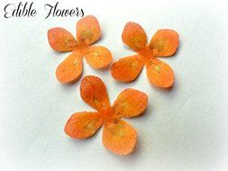 24 Assorted Rainbow Colors Decorative Wafer Paper Flowers&copy; Very Small, Mini 1.25&quot; Size Cake Toppers N3