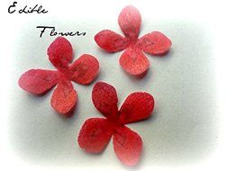 24 Assorted Rainbow Colors Decorative Wafer Paper Flowers&copy; Very Small, Mini 1.25&quot; Size Cake Toppers N4