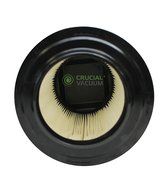 2 Crucial Vacuum Washable Wet/Dry Filters Fit RIDGID&reg; VF4000, Models 5-20 gallon Ridgid Wet/Dry Vacs, Compare... N3