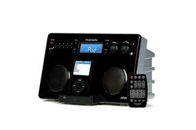 Tivoli iYiYi High-Fidelity AM/FM Stereo System with Alarm Clock and iPod Dock (Black/Silver)
