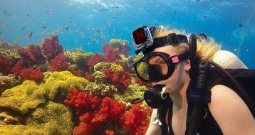 GoPro Hero4 Hero 4 12MP Full HD 4K 30fps 1080p 120fps Built-In Wi-Fi Waterproof Wearable Camera Black Adventure... N53