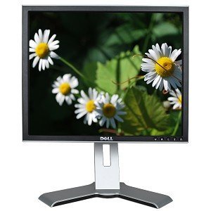 19" Dell 1907FPc DVI 720p Rotating LCD Monitor w/USB 2.0 Hub (Black/Silver) - Rotates to Portrait...